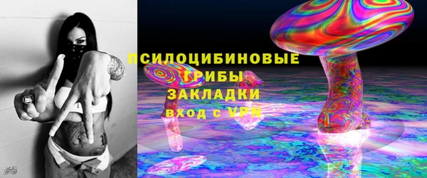 ECSTASY Алзамай