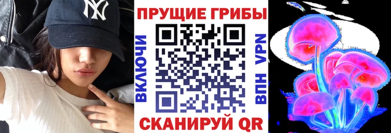 Псилоцибиновые грибы мицелий  Кисловодск 